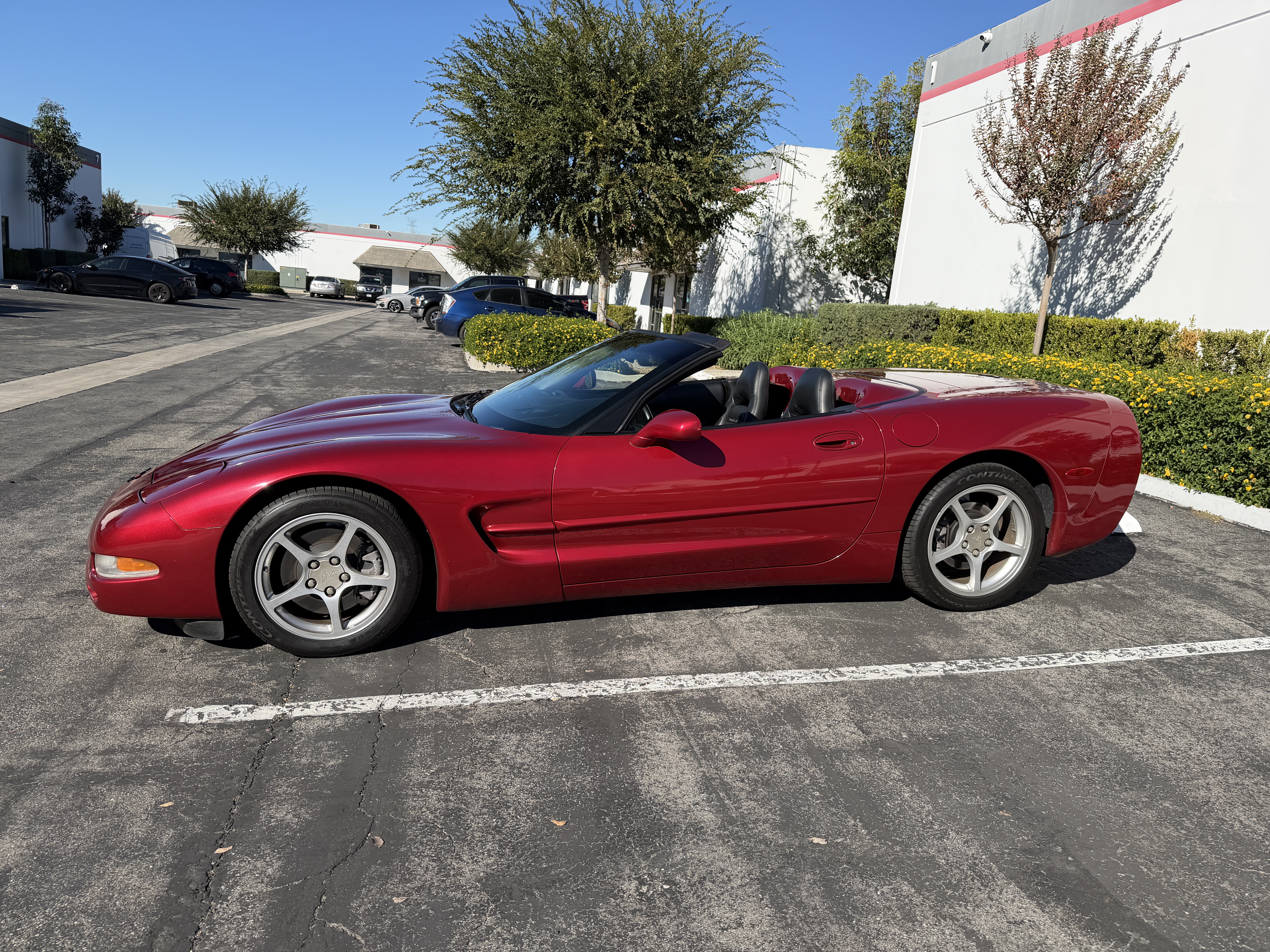 Used 2000 Chevrolet Corvette Convertible w/ Memory Pkg RWD image 1