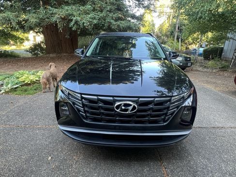 Used 2024 Hyundai Tucson SEL AWD/4WD image 5