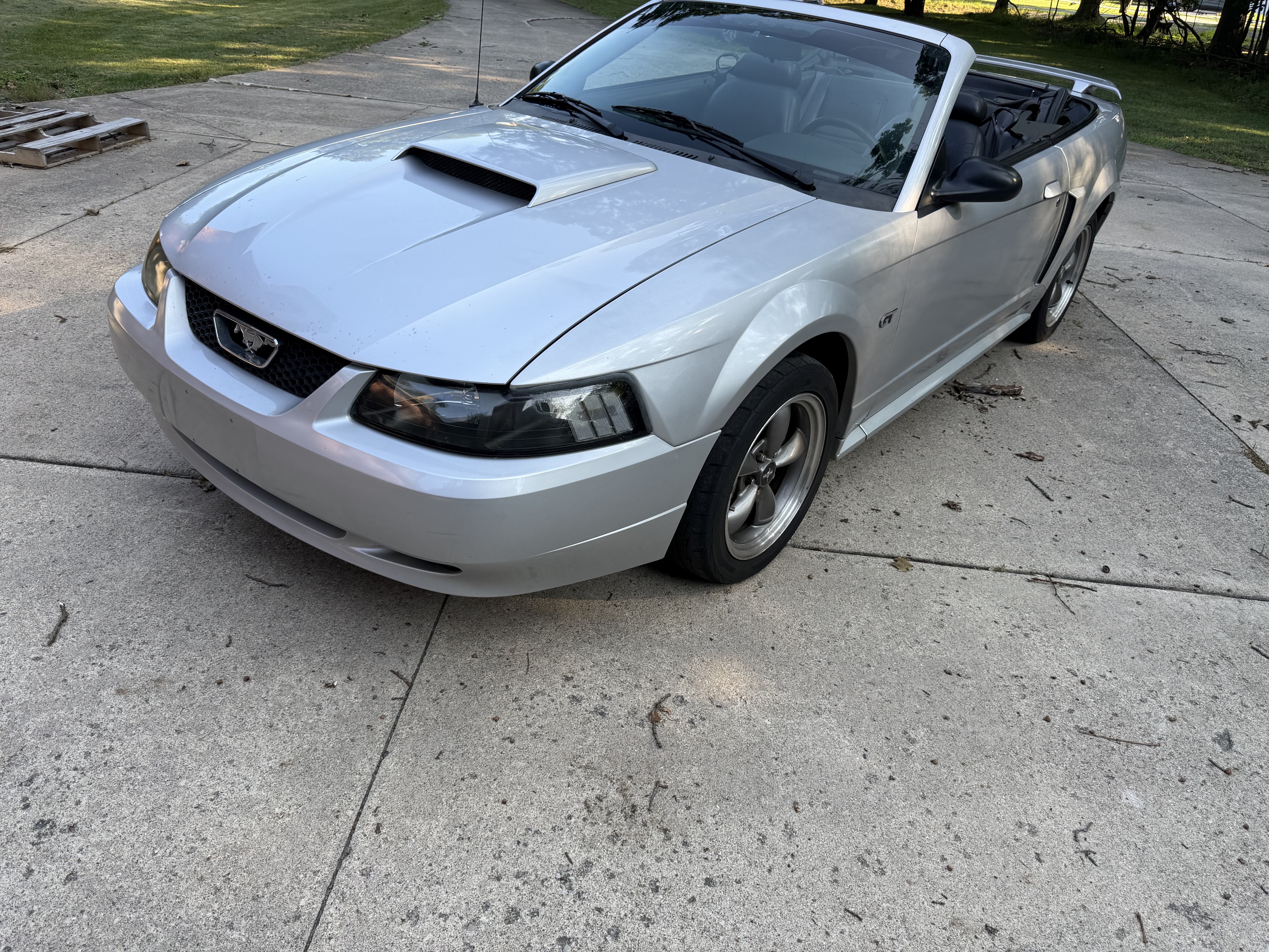 Used 2003 Ford Mustang GT Premium RWD image 2
