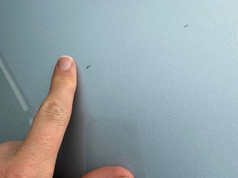 Used 2022 Toyota Corolla Cross XLE w/ Black Badges Package (TMS) image 11