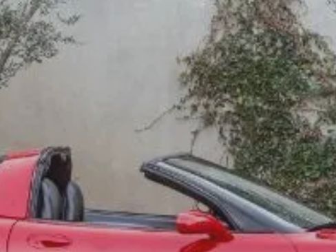 Used 2004 Chevrolet Corvette Coupe w/ Preferred Equipment Group image 10