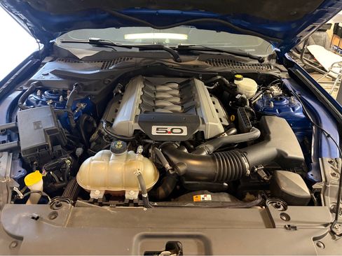 Used 2017 Ford Mustang GT Premium w/ Equipment Group 401A image 12