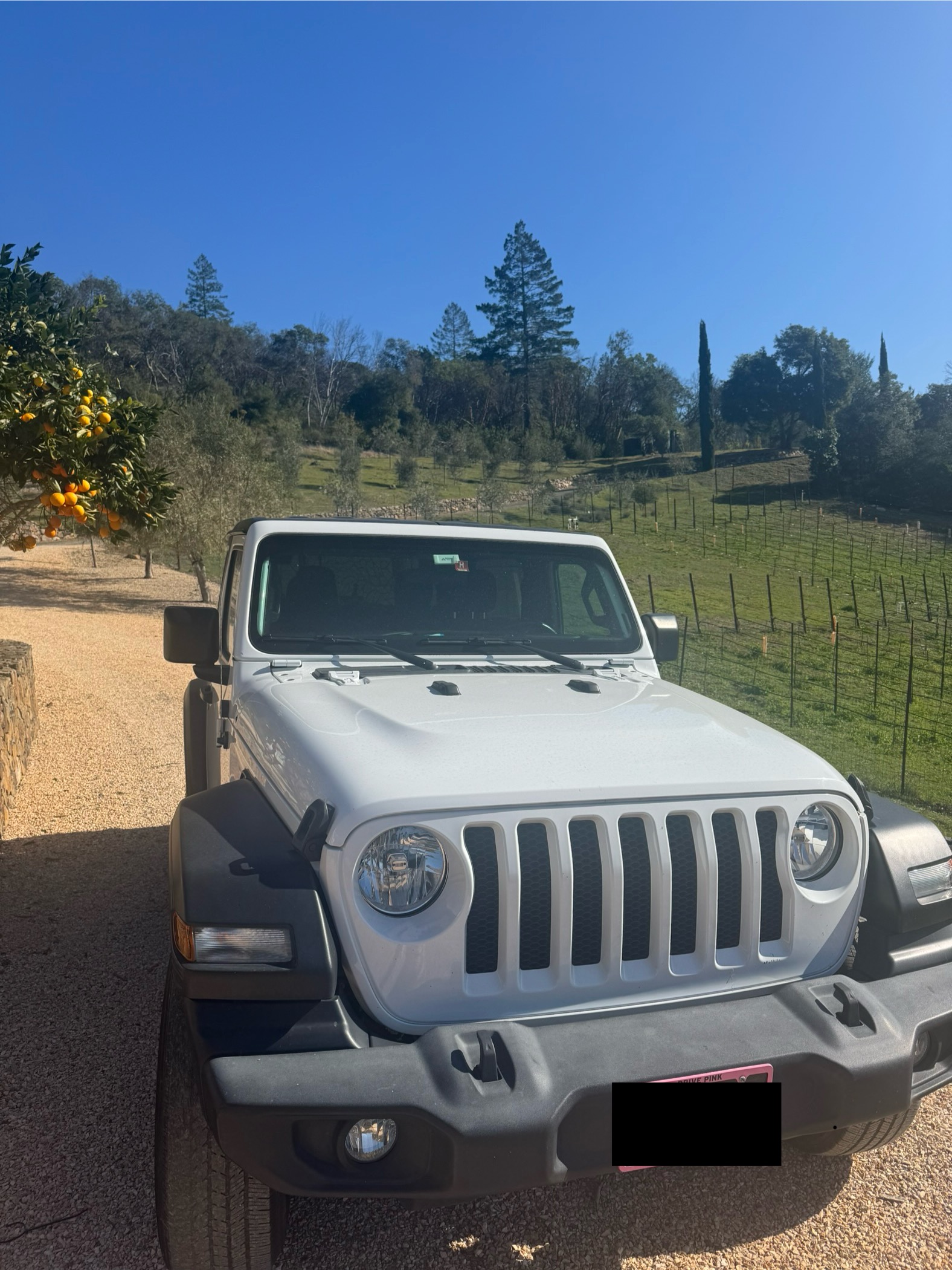 Used 2020 Jeep Wrangler Sport AWD/4WD image 2