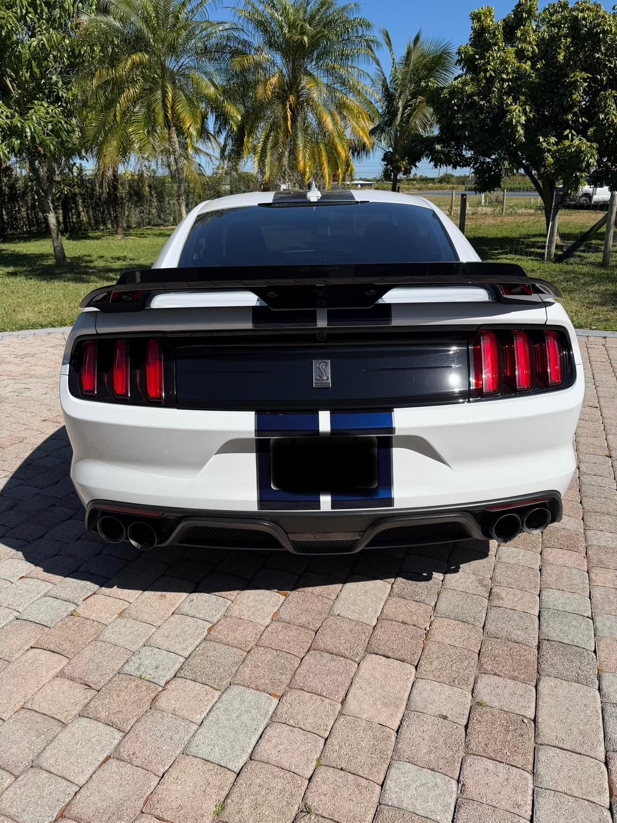 Used 2020 Ford Mustang Shelby GT350 w/ Technology Package RWD image 6