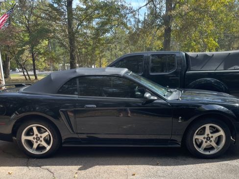 Used 2001 Ford Mustang Cobra image 1