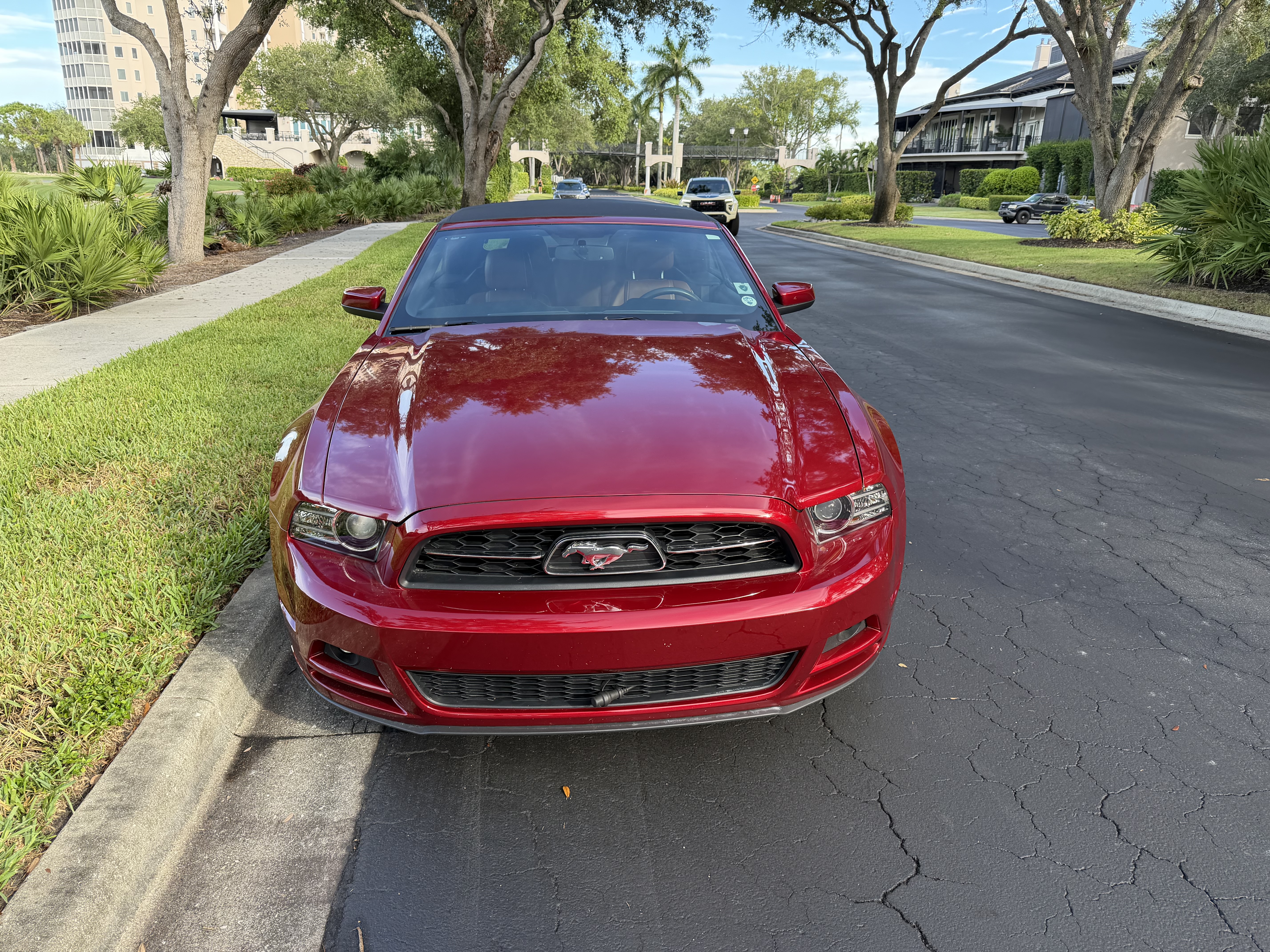 Used 2014 Ford Mustang Premium w/ Equipment Group 202A RWD image 2