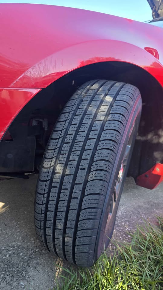 Used 2014 Ford Mustang Premium w/ Equipment Group 201A RWD image 9
