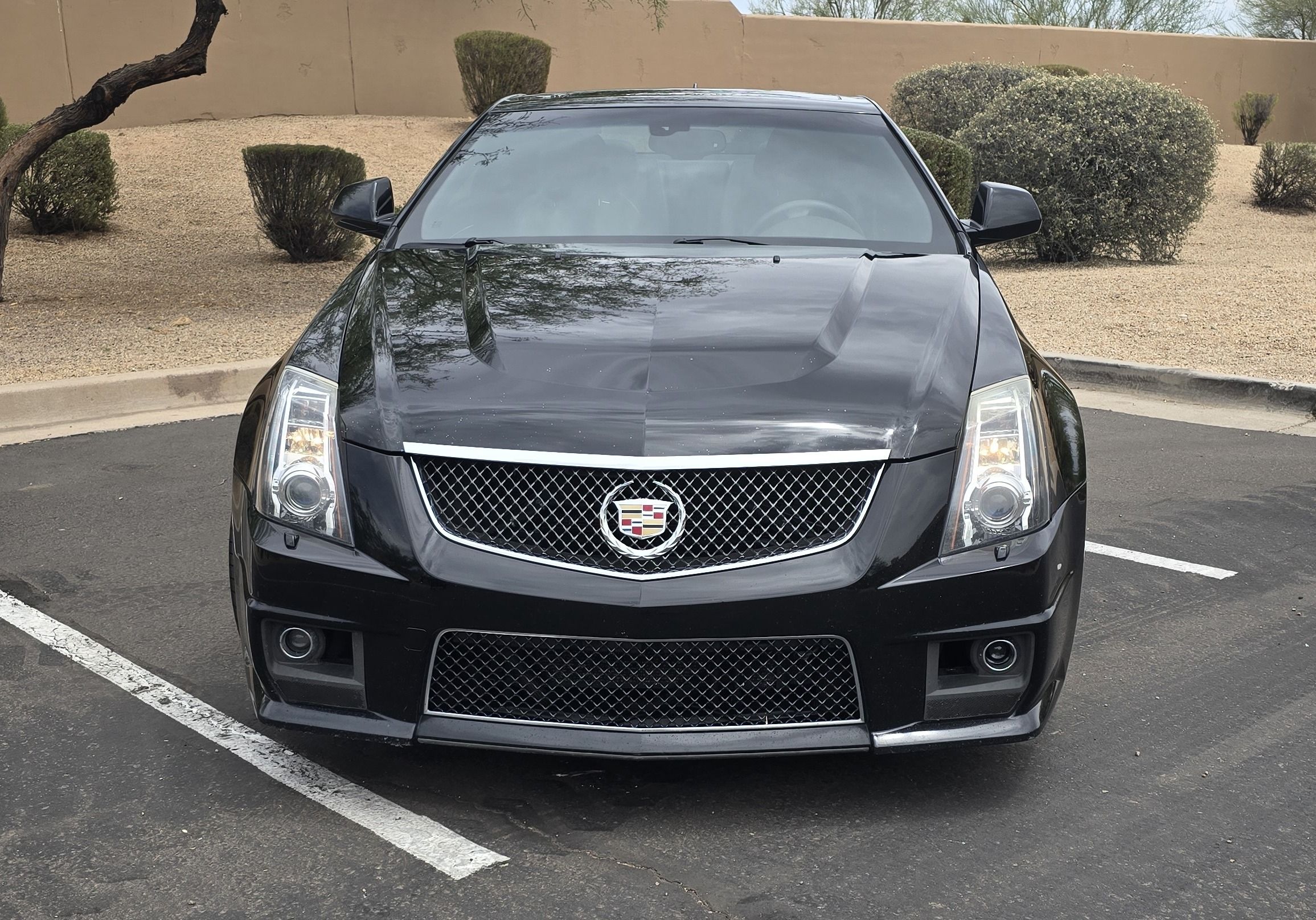 Used 2014 Cadillac CTS V w/ Wood Trim Package RWD image 2