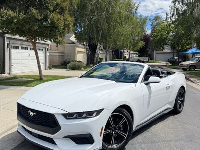 Used 2024 Ford Mustang Premium