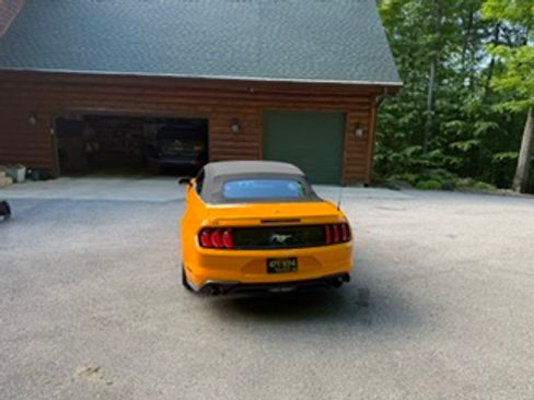Used 2019 Ford Mustang Premium w/ Equipment Group 201A RWD image 11