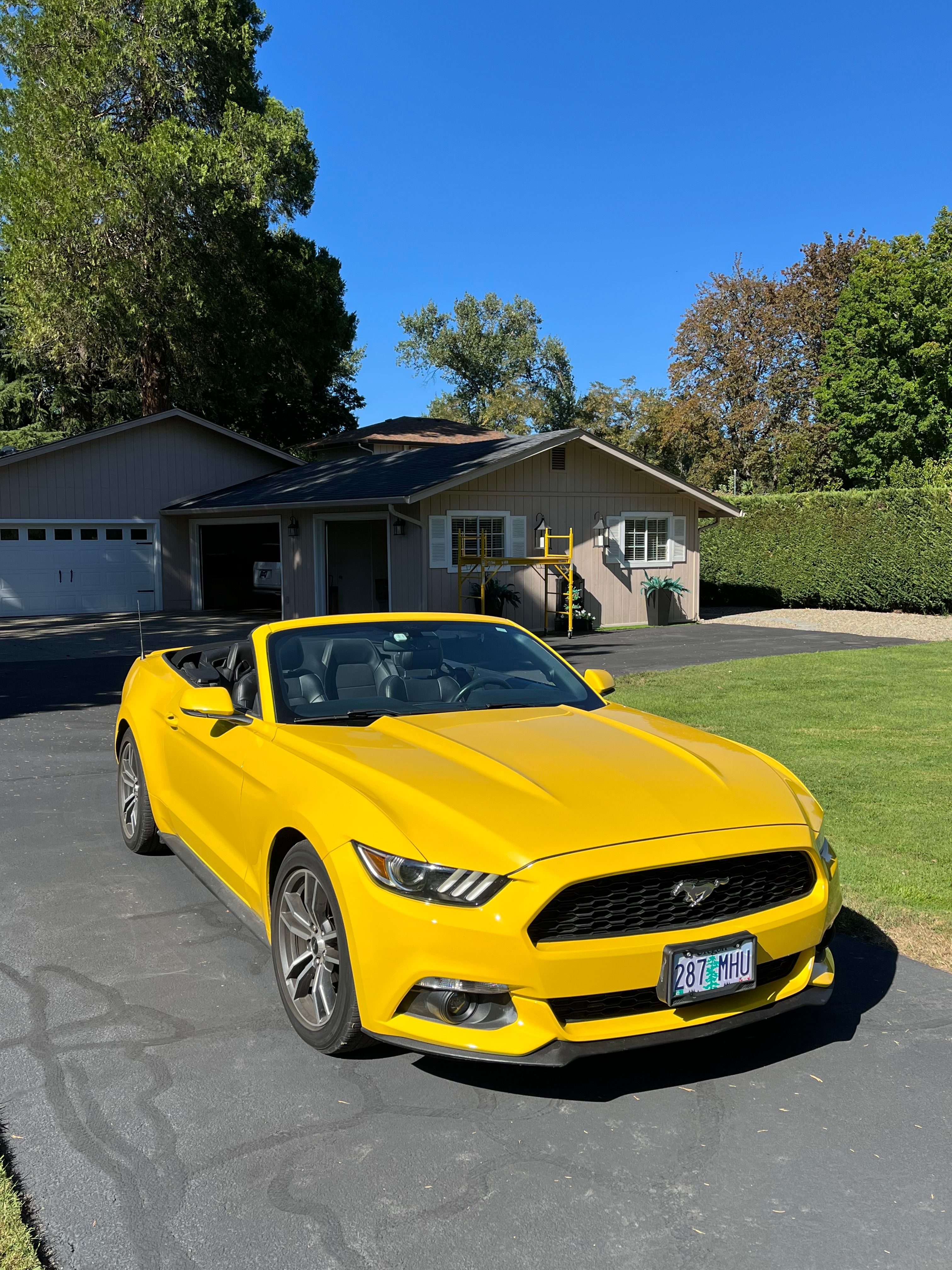 Used 2017 Ford Mustang Premium RWD image 5