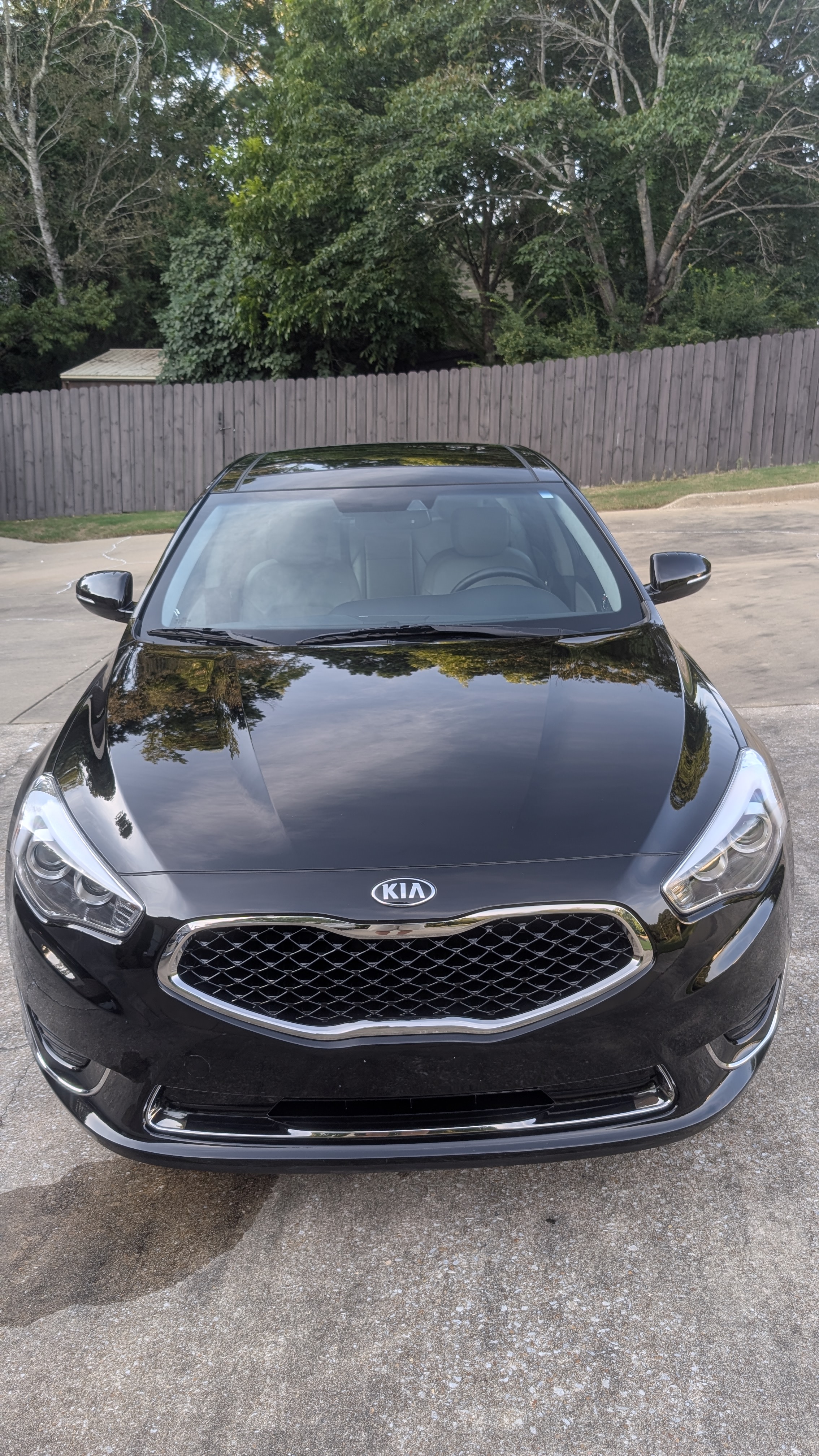 Used 2014 Kia Cadenza Limited FWD image 6