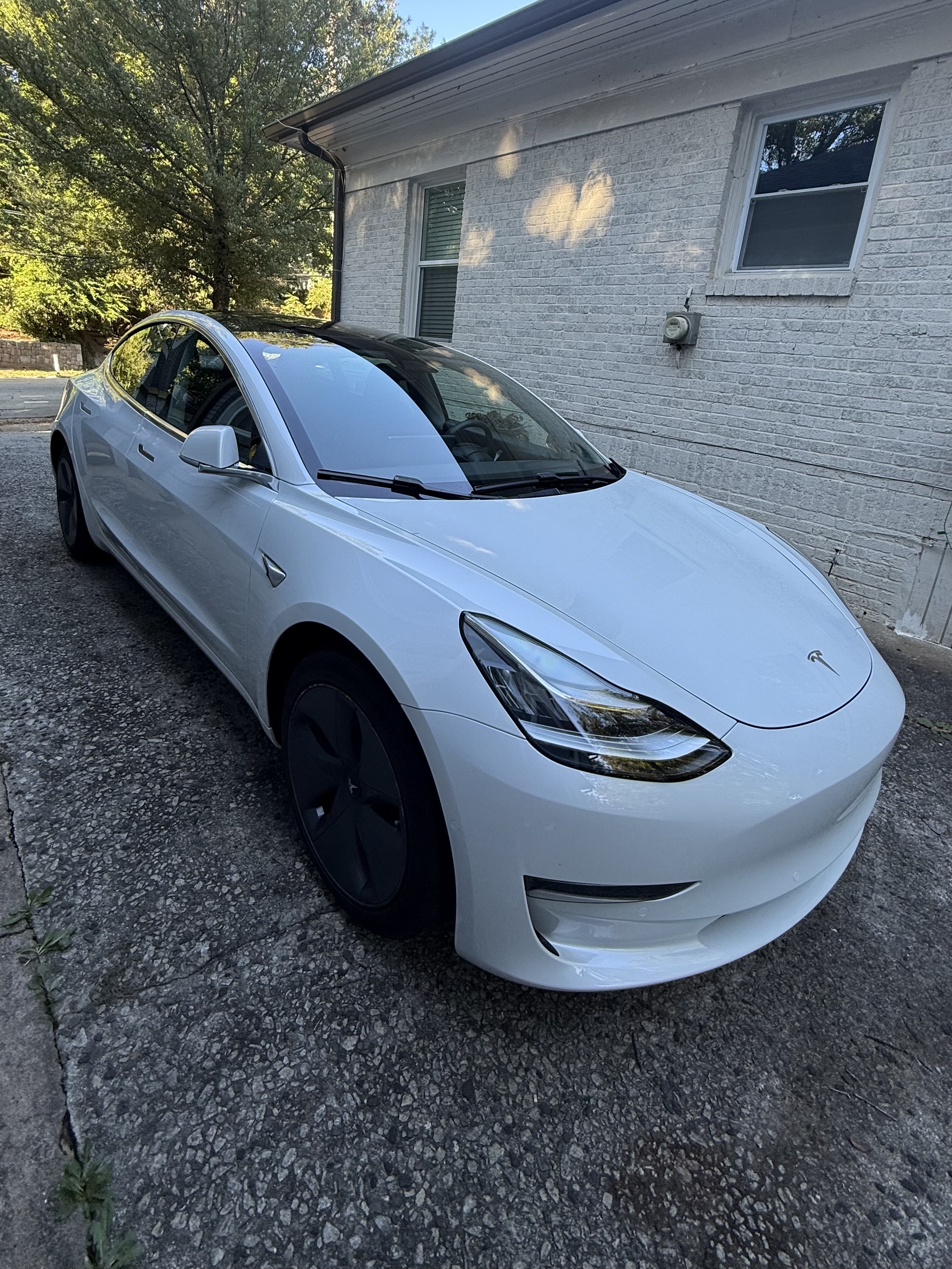 Used 2020 Tesla Model 3 Standard Range Plus RWD image 6