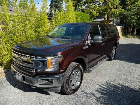 Used 2019 Ford F150 XLT w/ Equipment Group 302A Luxury AWD/4WD image 1