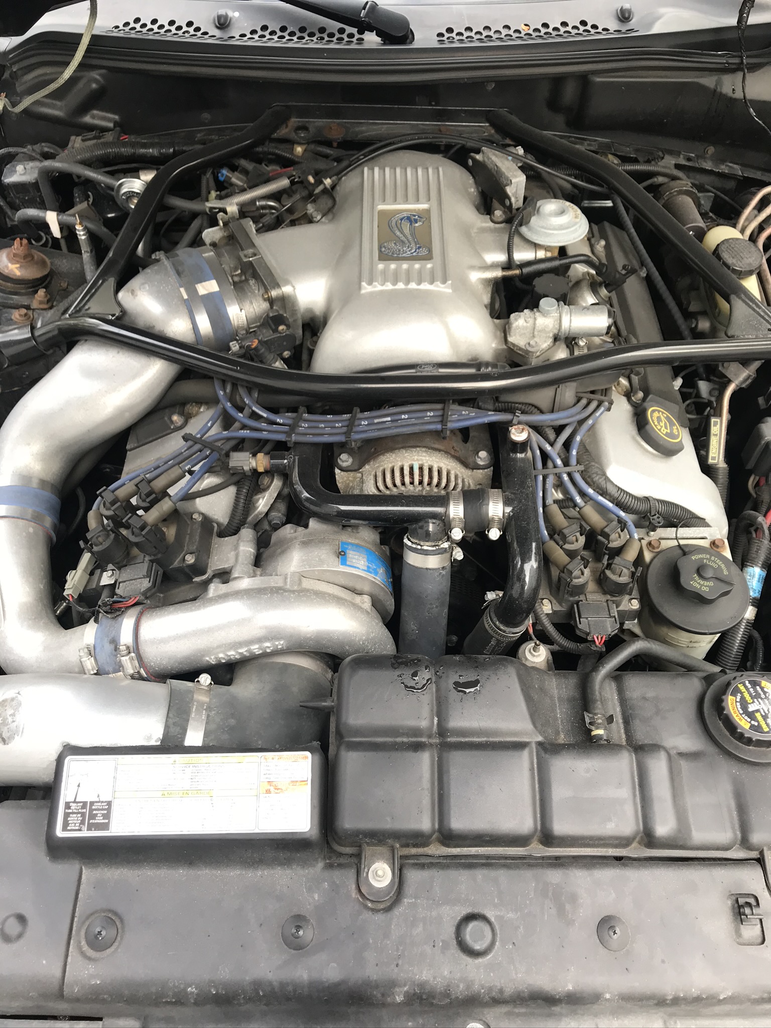 Used 1996 Ford Mustang Cobra RWD image 6