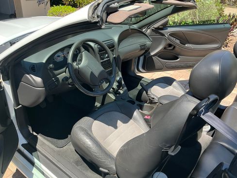 Used 2001 Ford Mustang Cobra RWD image 5