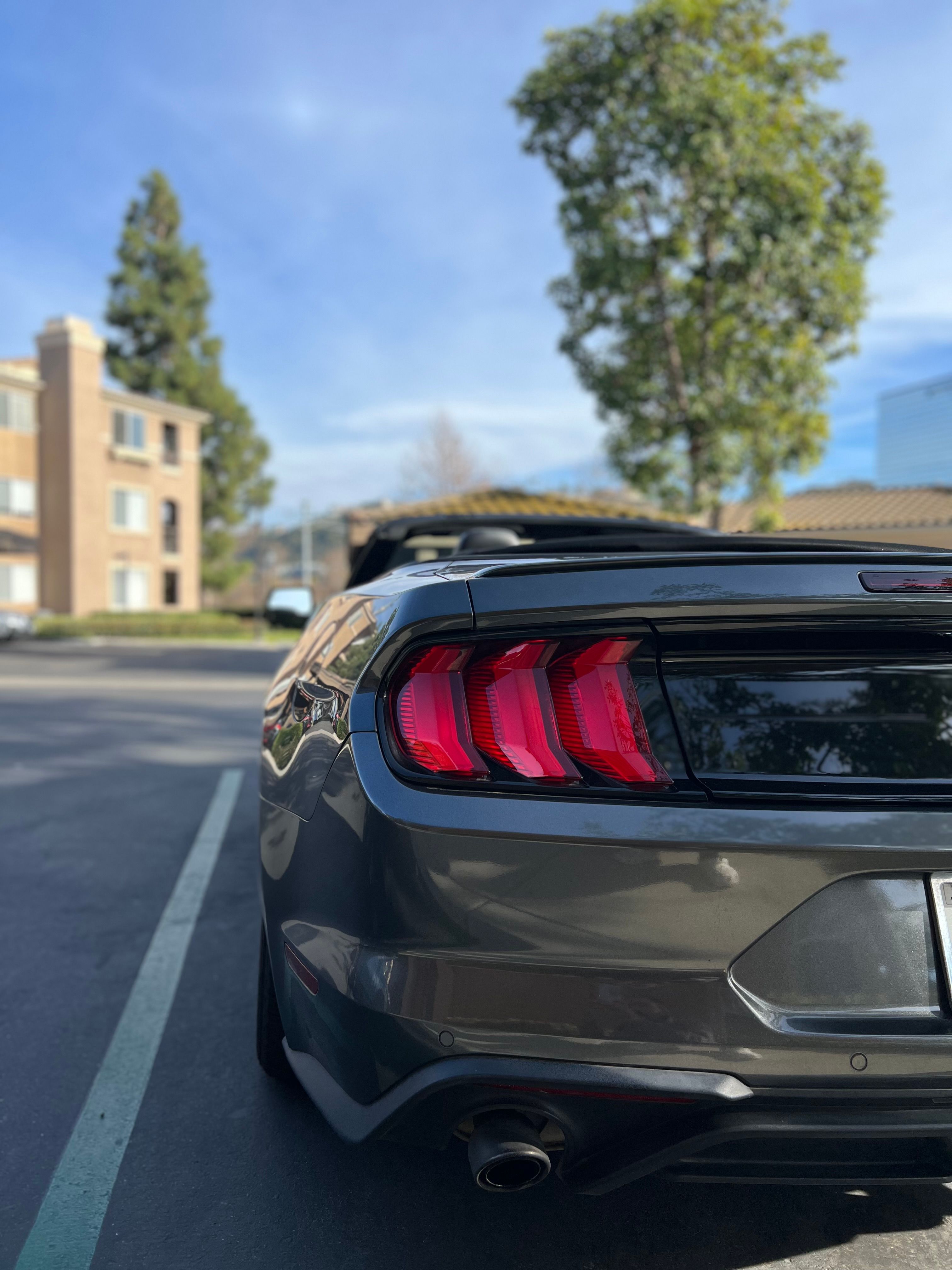 Used 2019 Ford Mustang Premium w/ Equipment Group 201A RWD image 6