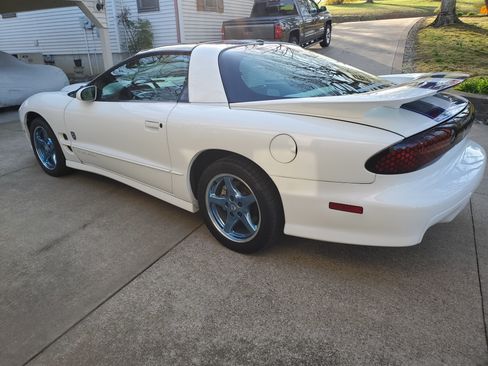 Used 1999 Pontiac Firebird Formula image 8