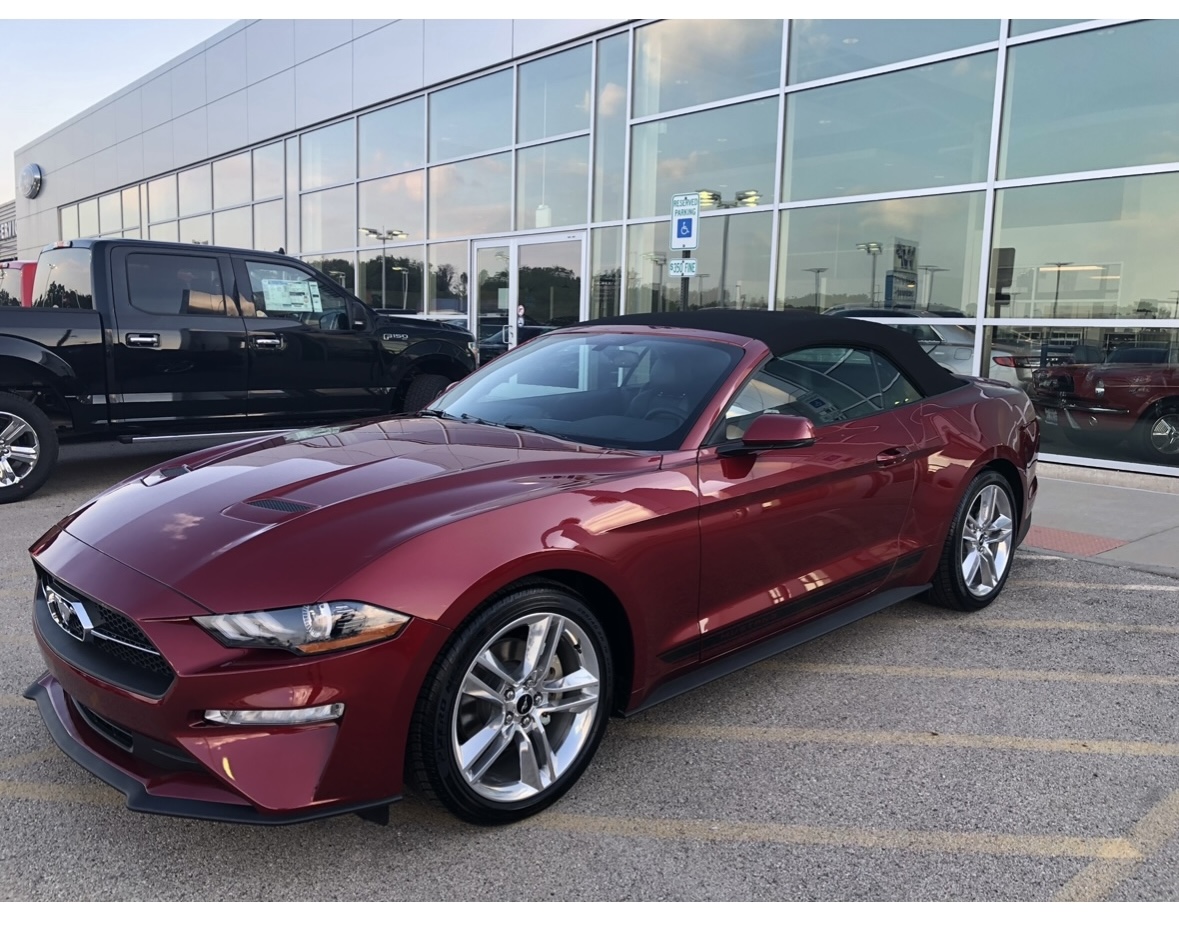 Used 2025 Ford Mustang Premium RWD image 3