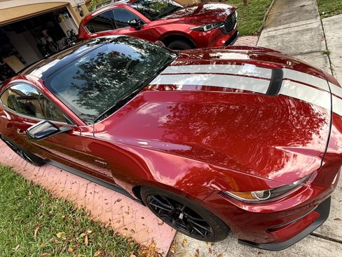 Used 2019 Ford Mustang Shelby GT350 w/ Technology Package image 5