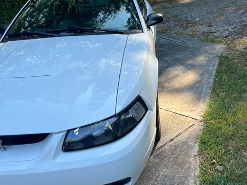Used 2001 Ford Mustang Cobra RWD image 24