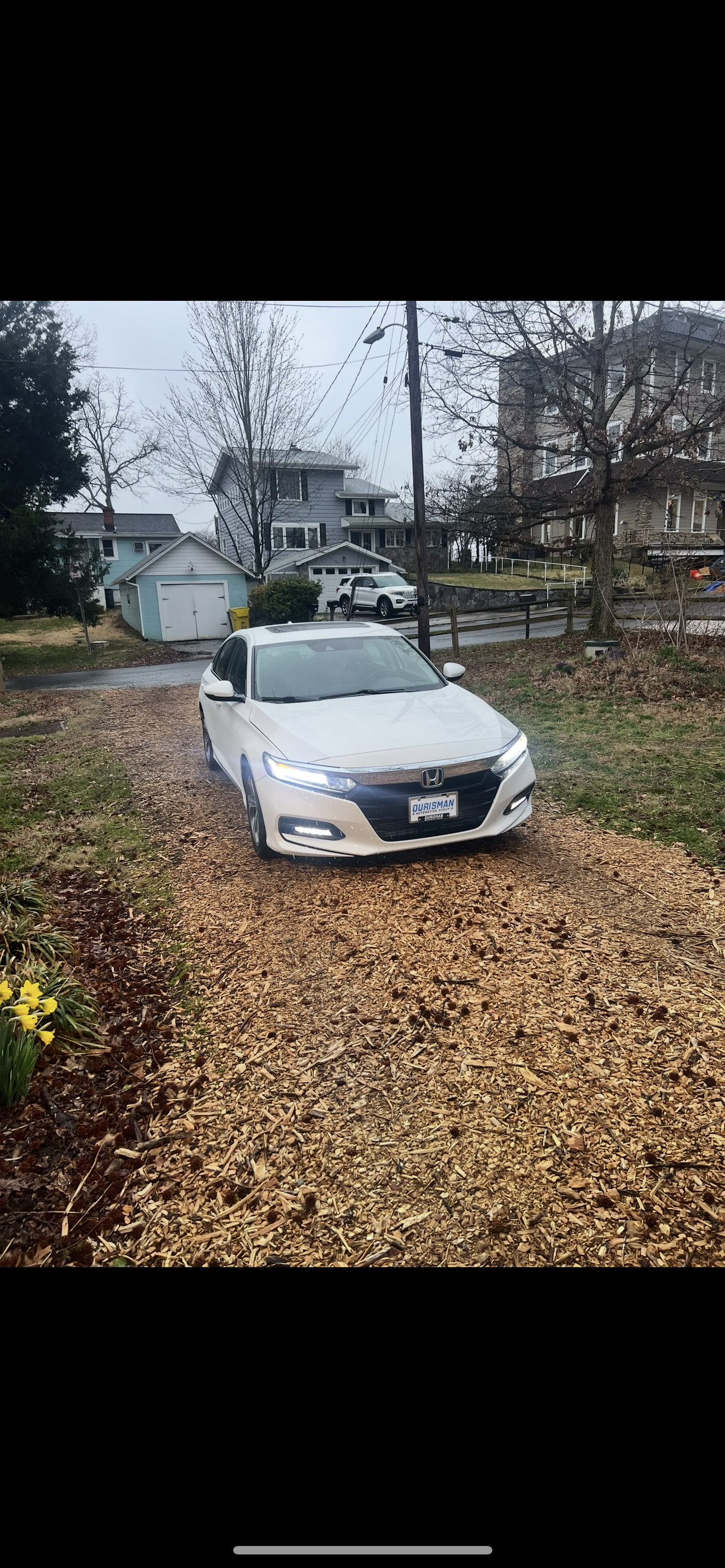 Used 2019 Honda Accord EX-L image 13