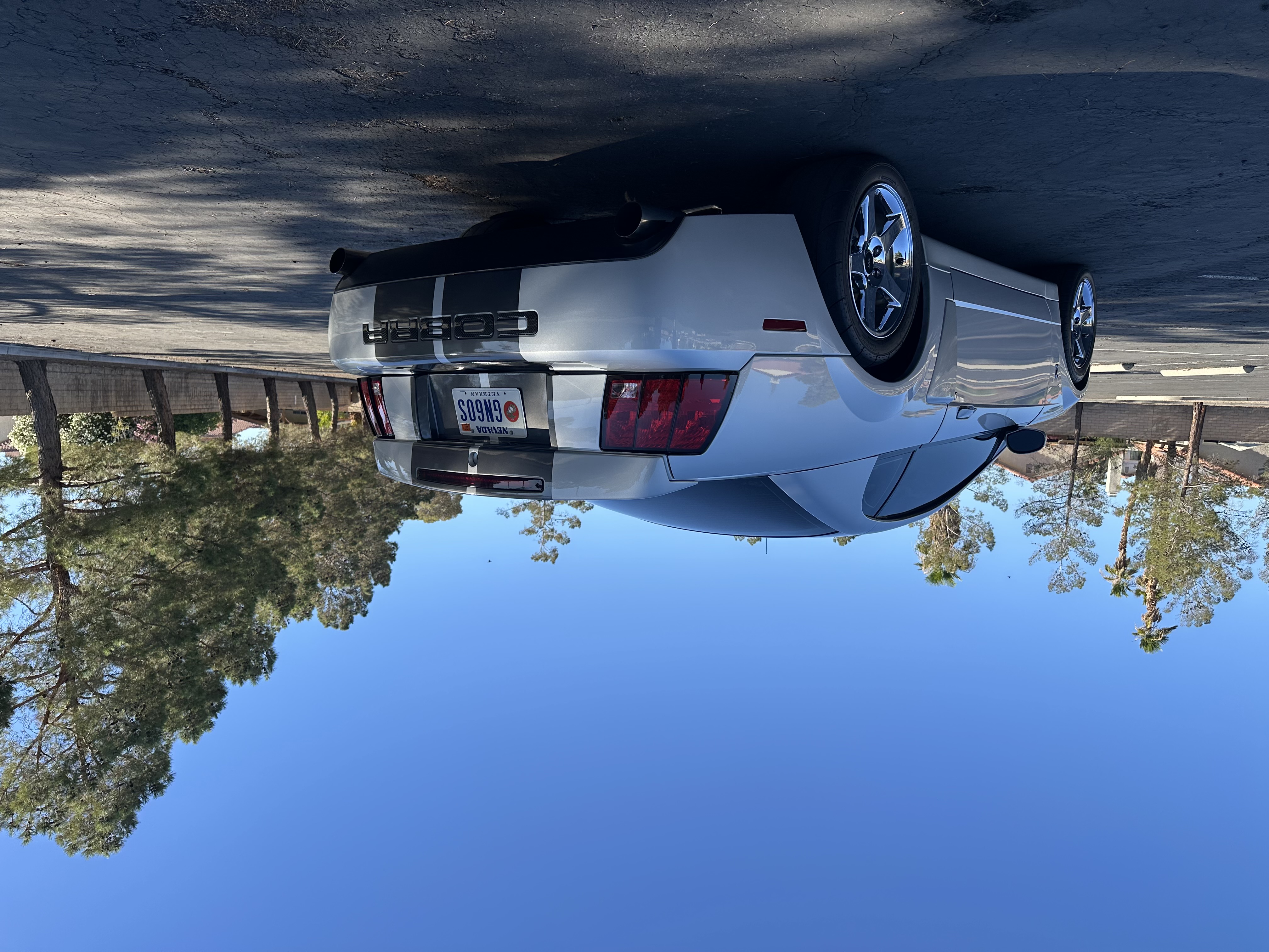 Used 2004 Ford Mustang Cobra RWD image 2