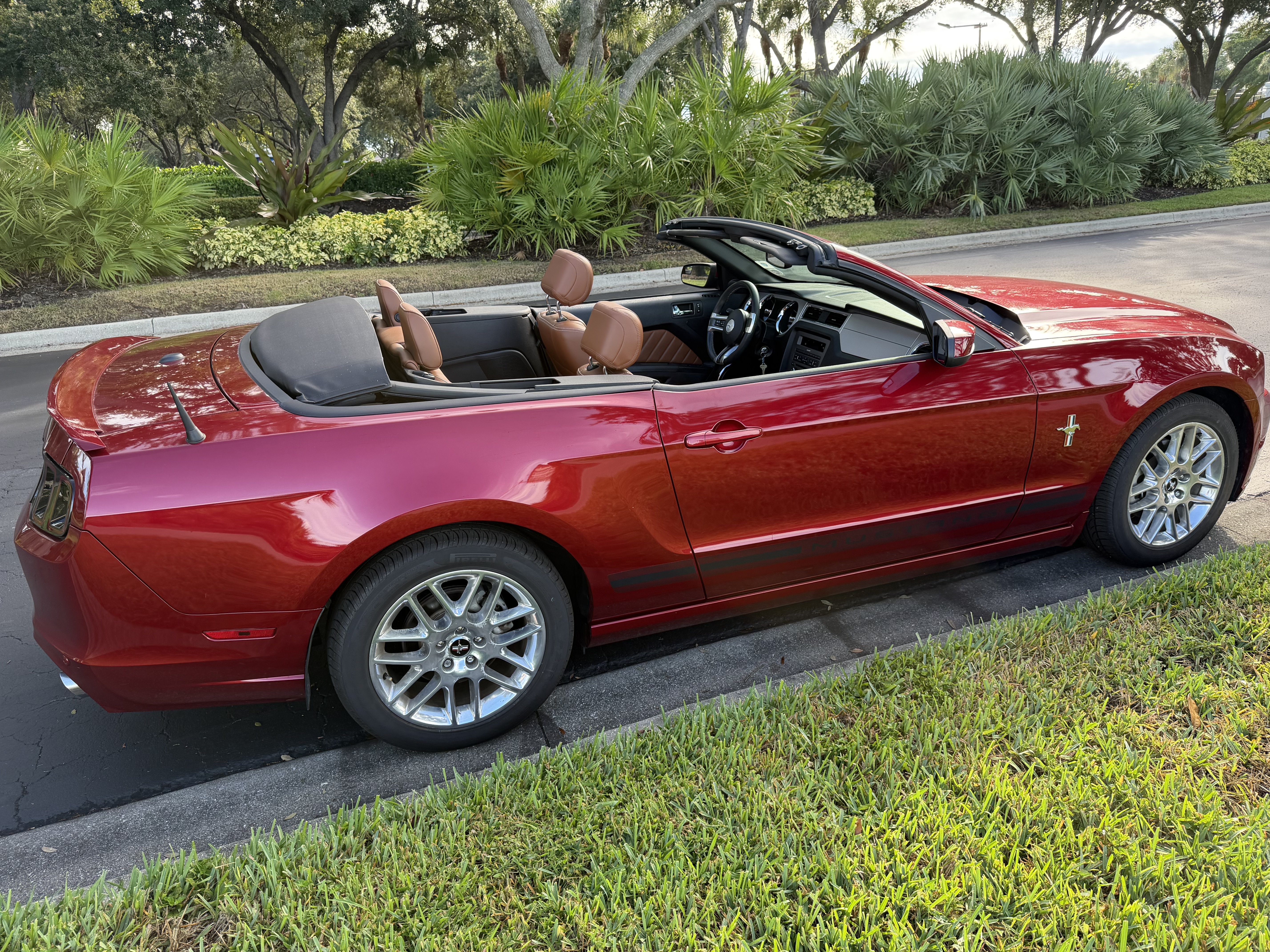 Used 2014 Ford Mustang Premium w/ Equipment Group 202A RWD image 4