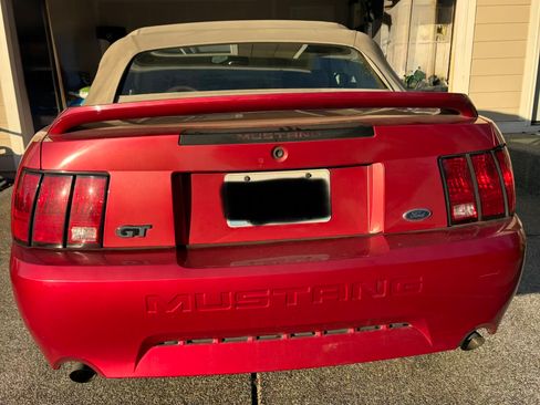 Used 2000 Ford Mustang GT image 12