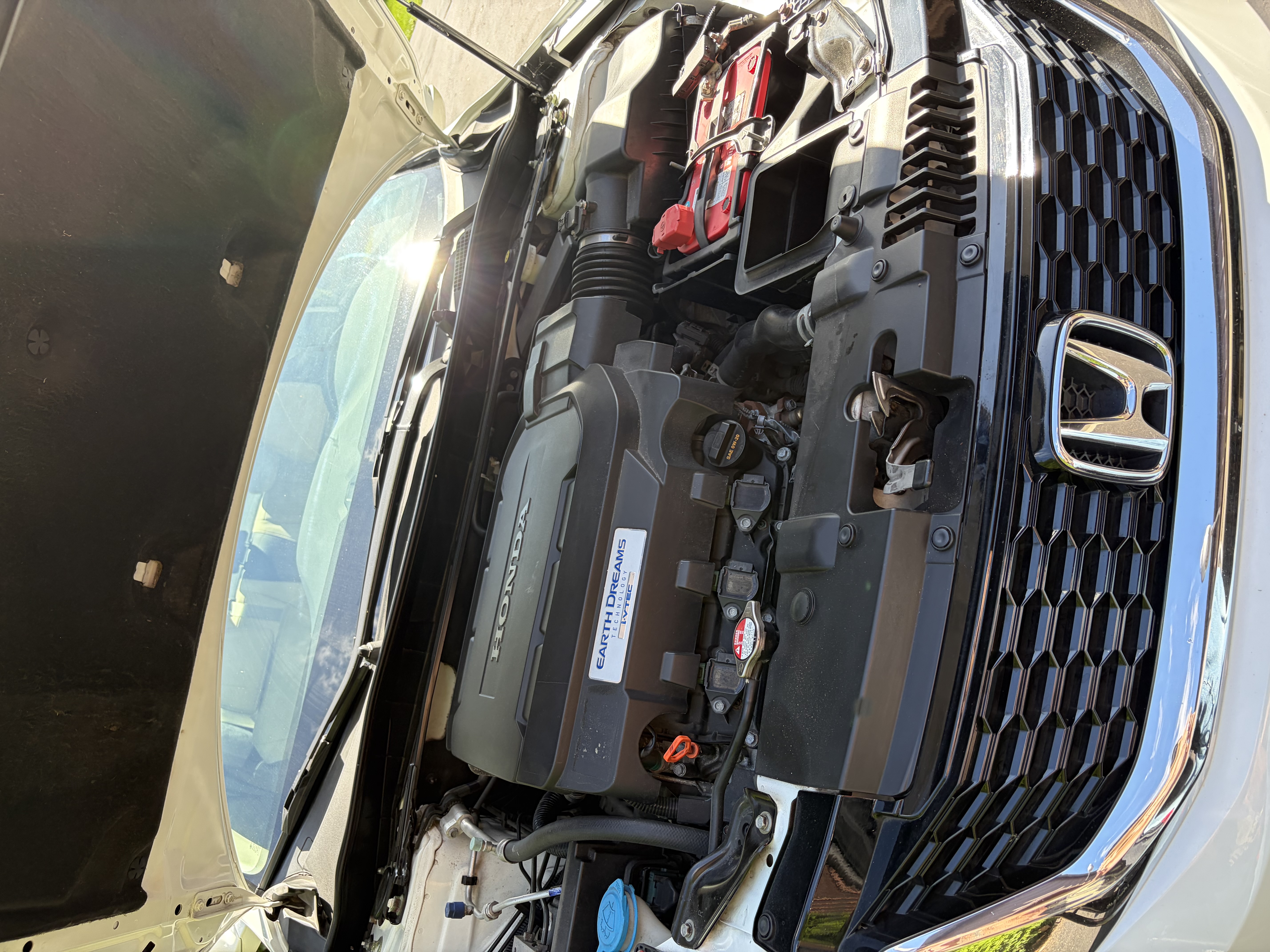 Used 2014 Honda Accord EX-L image 9