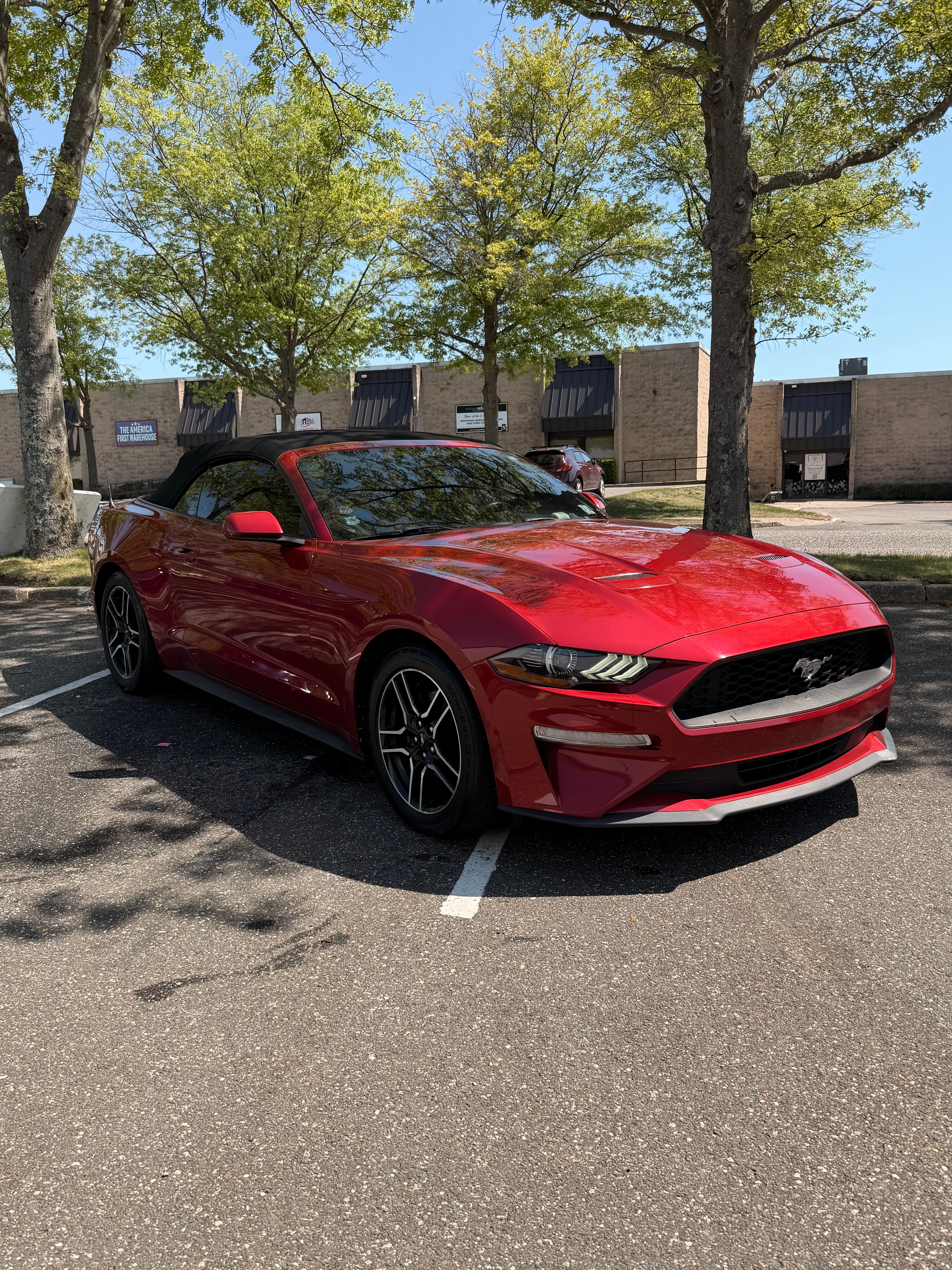 Used 2021 Ford Mustang Convertible w/ Equipment Group 101A RWD image 14