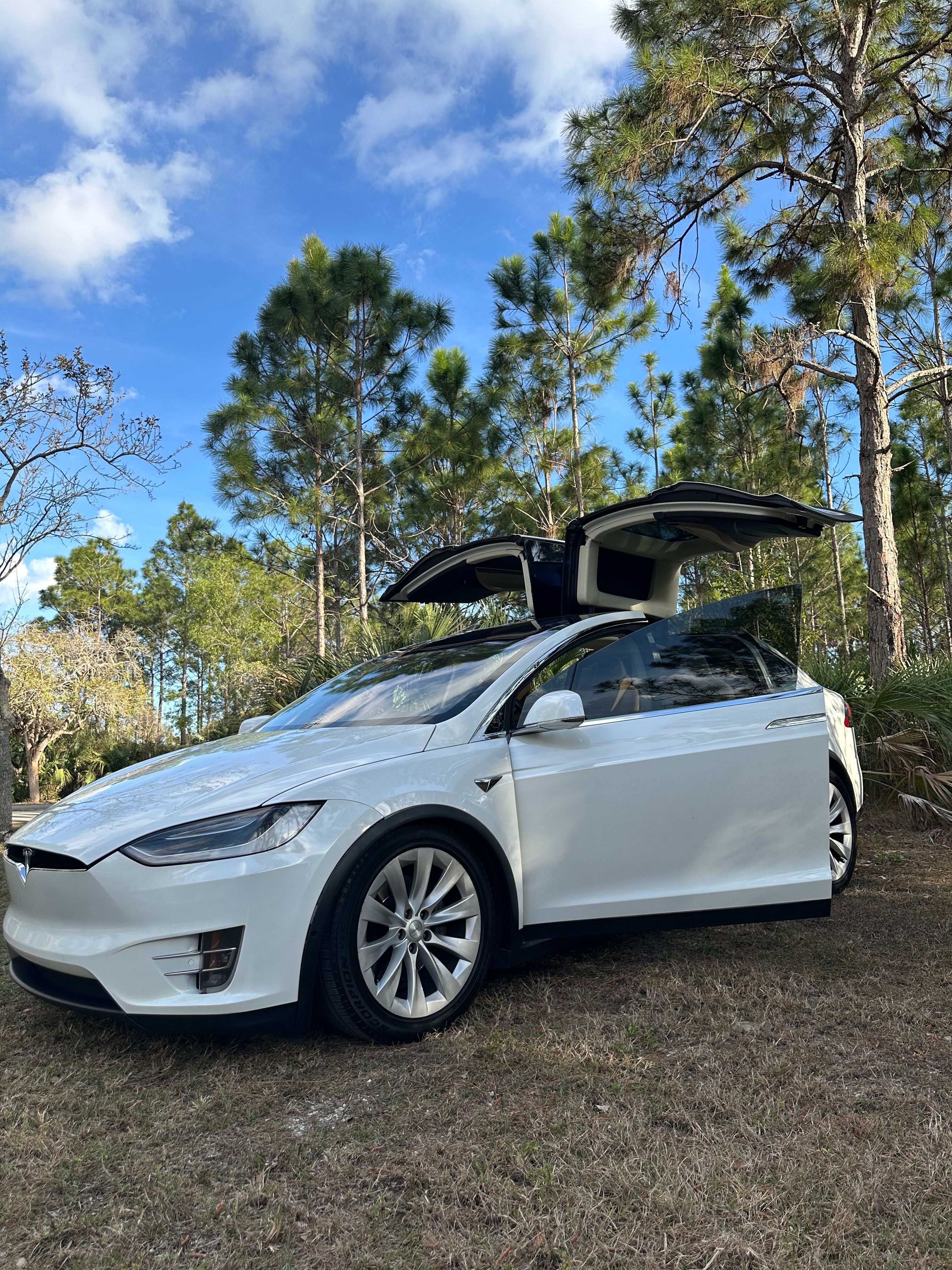 Used 2017 Tesla Model X 100D AWD/4WD image 4