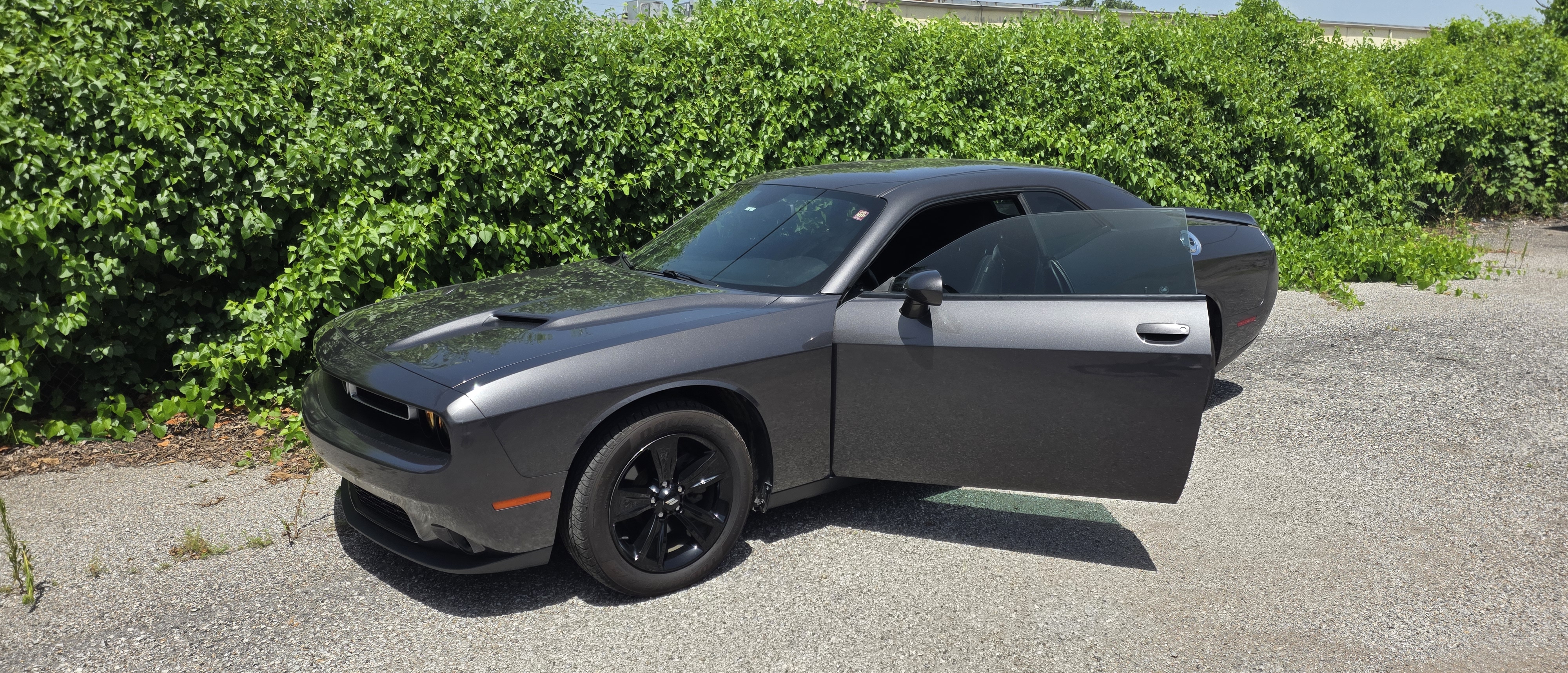 Used 2019 Dodge Challenger SXT RWD image 1