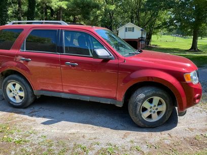 Used 2012 Ford Escape XLT
