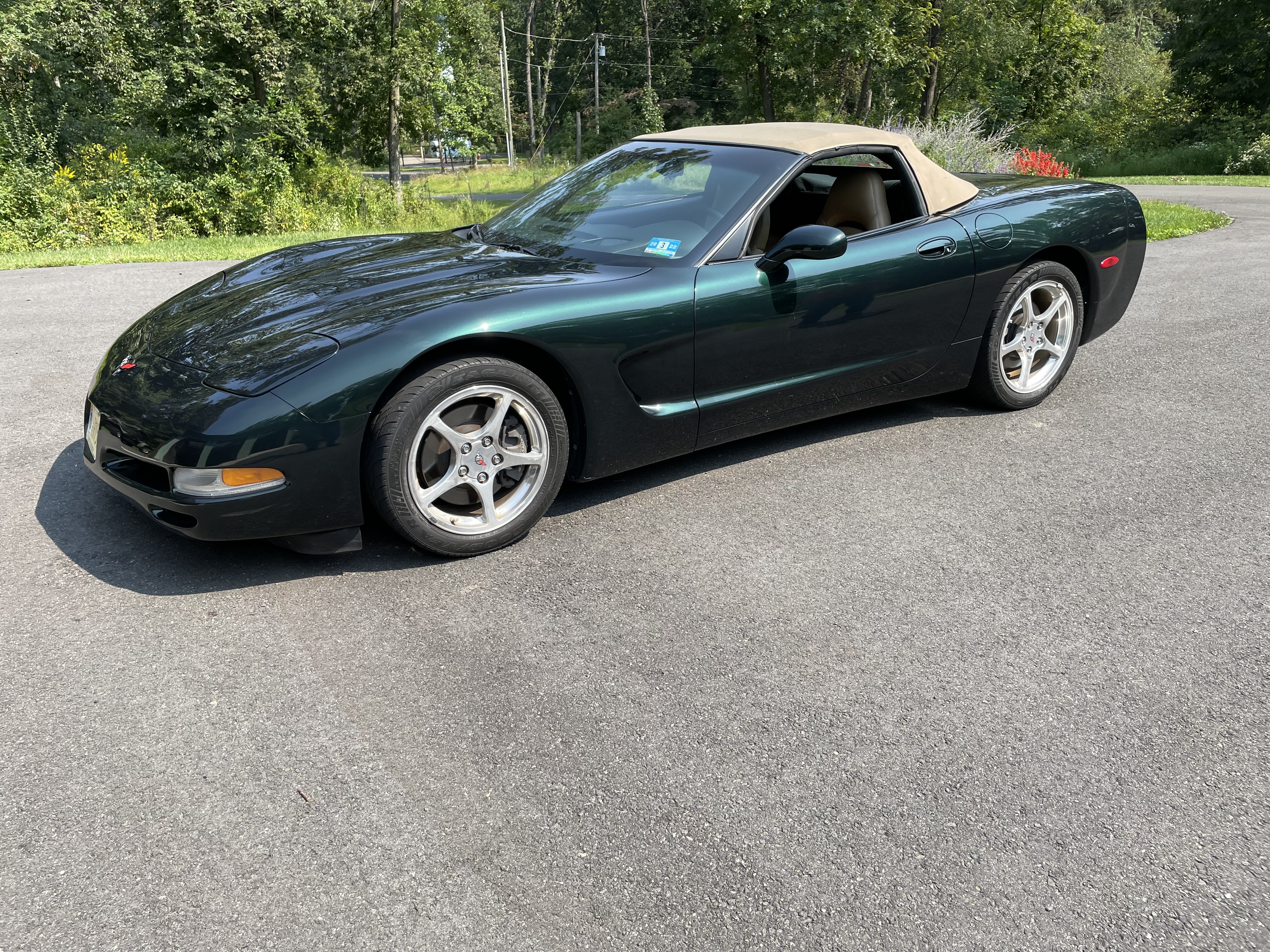 Used 2000 Chevrolet Corvette Convertible w/ Performance Handling Pkg RWD image 5