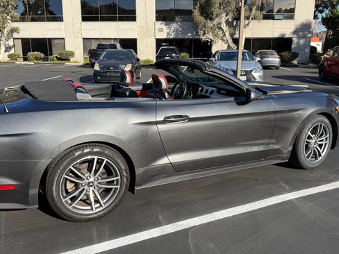 Used 2015 Ford Mustang Premium w/ Equipment Group 201A image 14