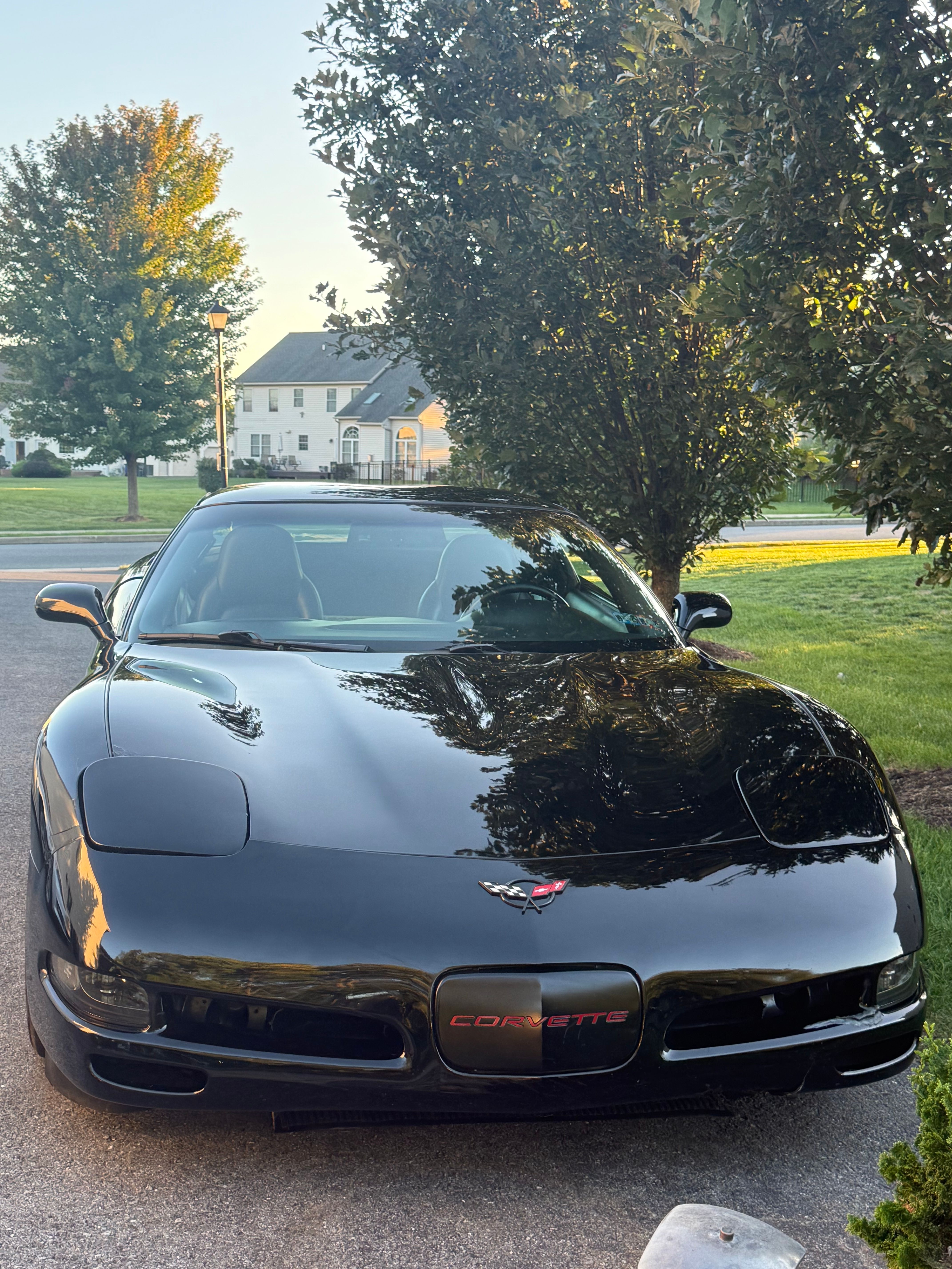 Used 1998 Chevrolet Corvette Coupe w/ Roof Pkg RWD image 4