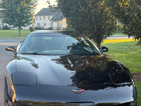 Used 1998 Chevrolet Corvette Coupe w/ Roof Pkg RWD image 4