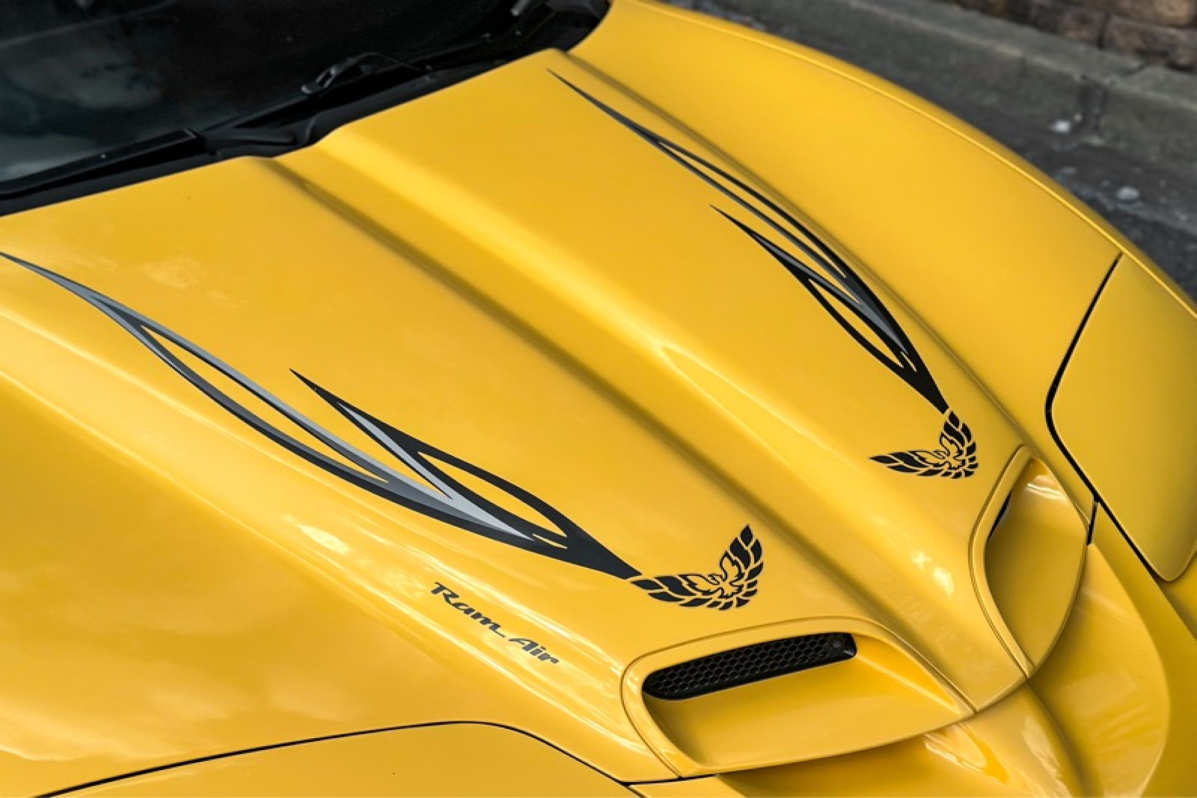 Used 2002 Pontiac Firebird Trans Am RWD image 12