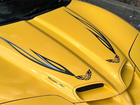 Used 2002 Pontiac Firebird Trans Am image 12