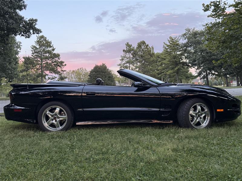 Used 2001 Pontiac Firebird Trans Am RWD image 10
