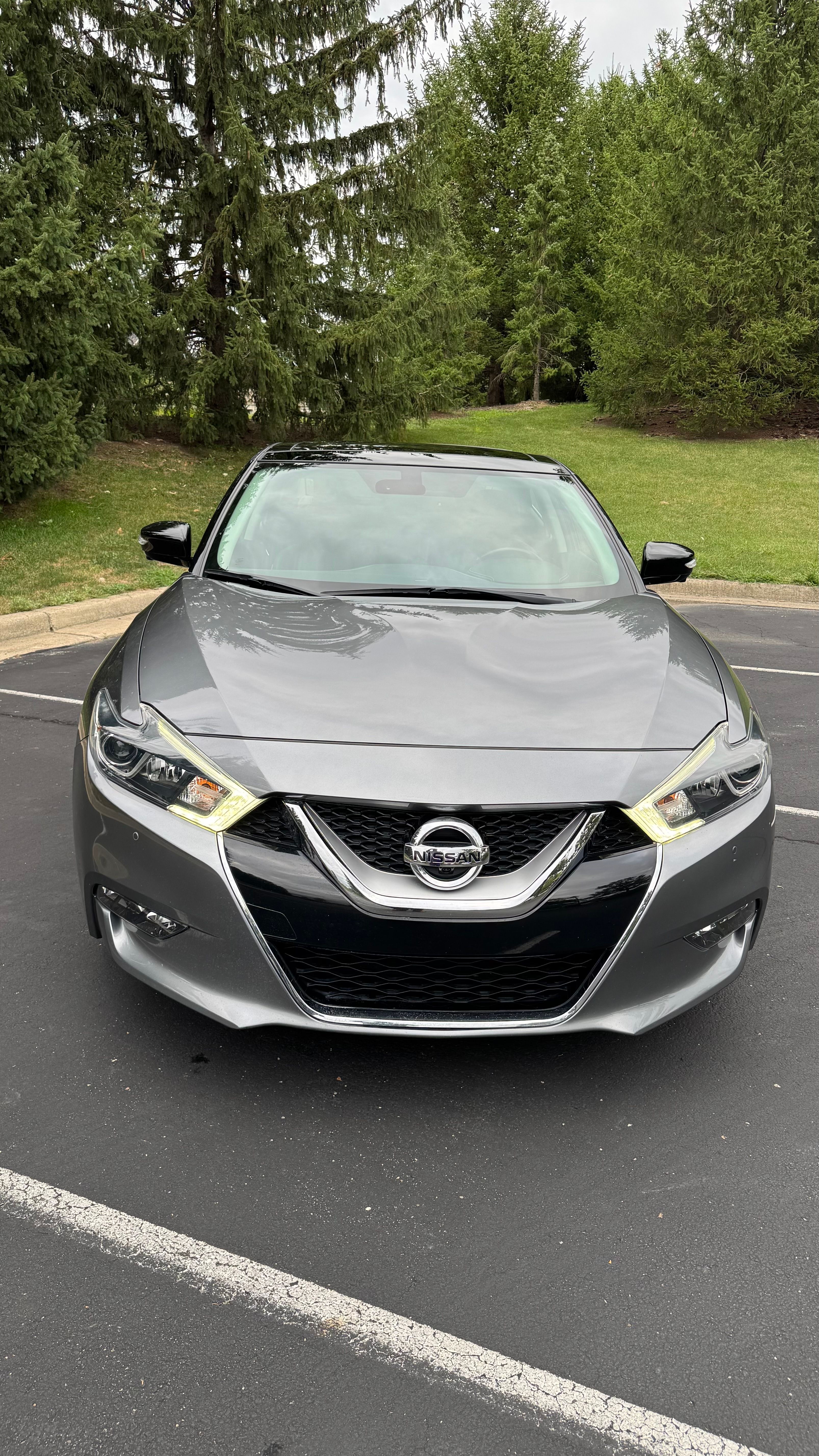 Used 2016 Nissan Maxima Platinum FWD image 1
