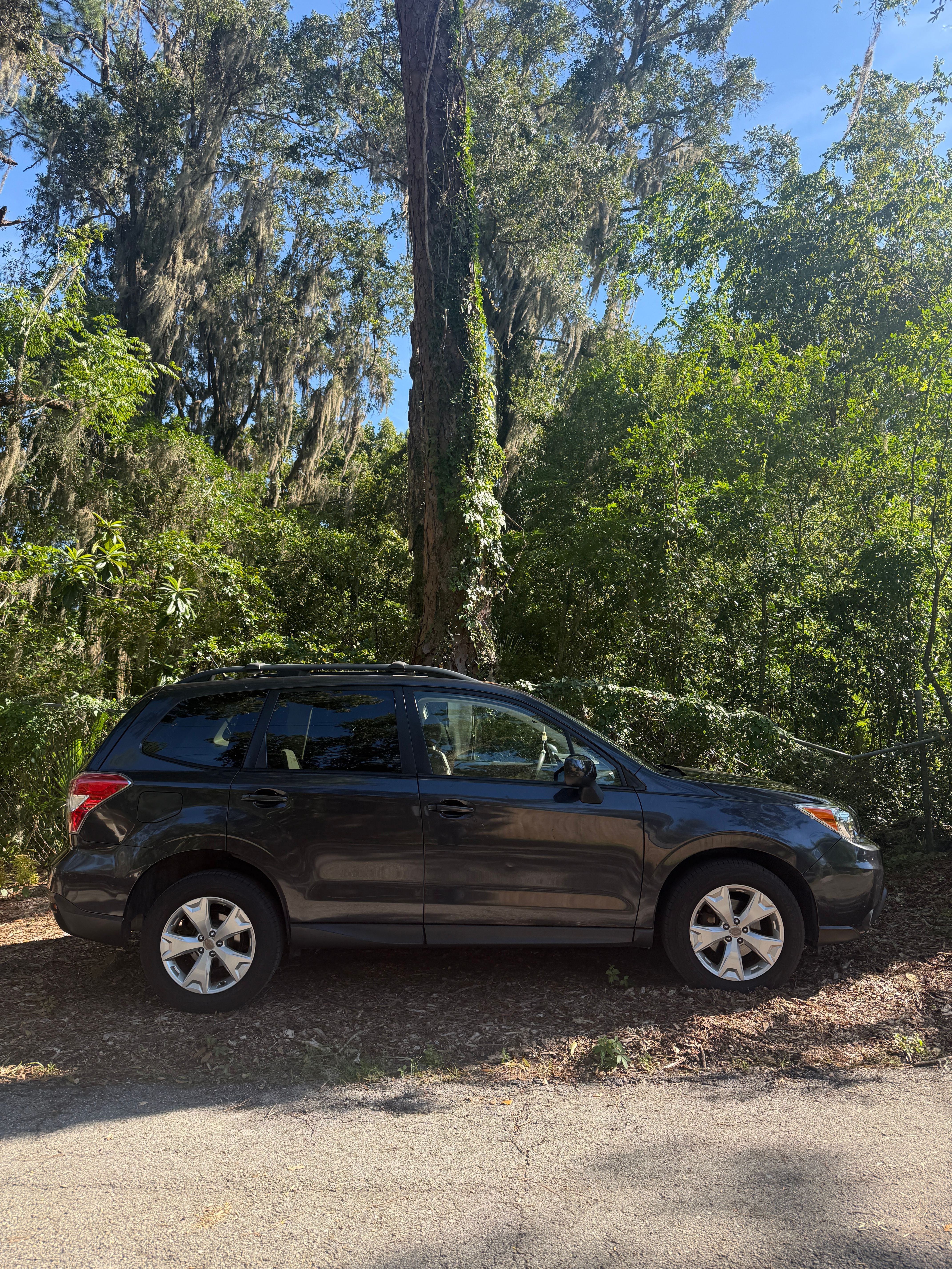 Used 2014 Subaru Forester 2.5i Premium w/ Popular Package #2 AWD/4WD image 2