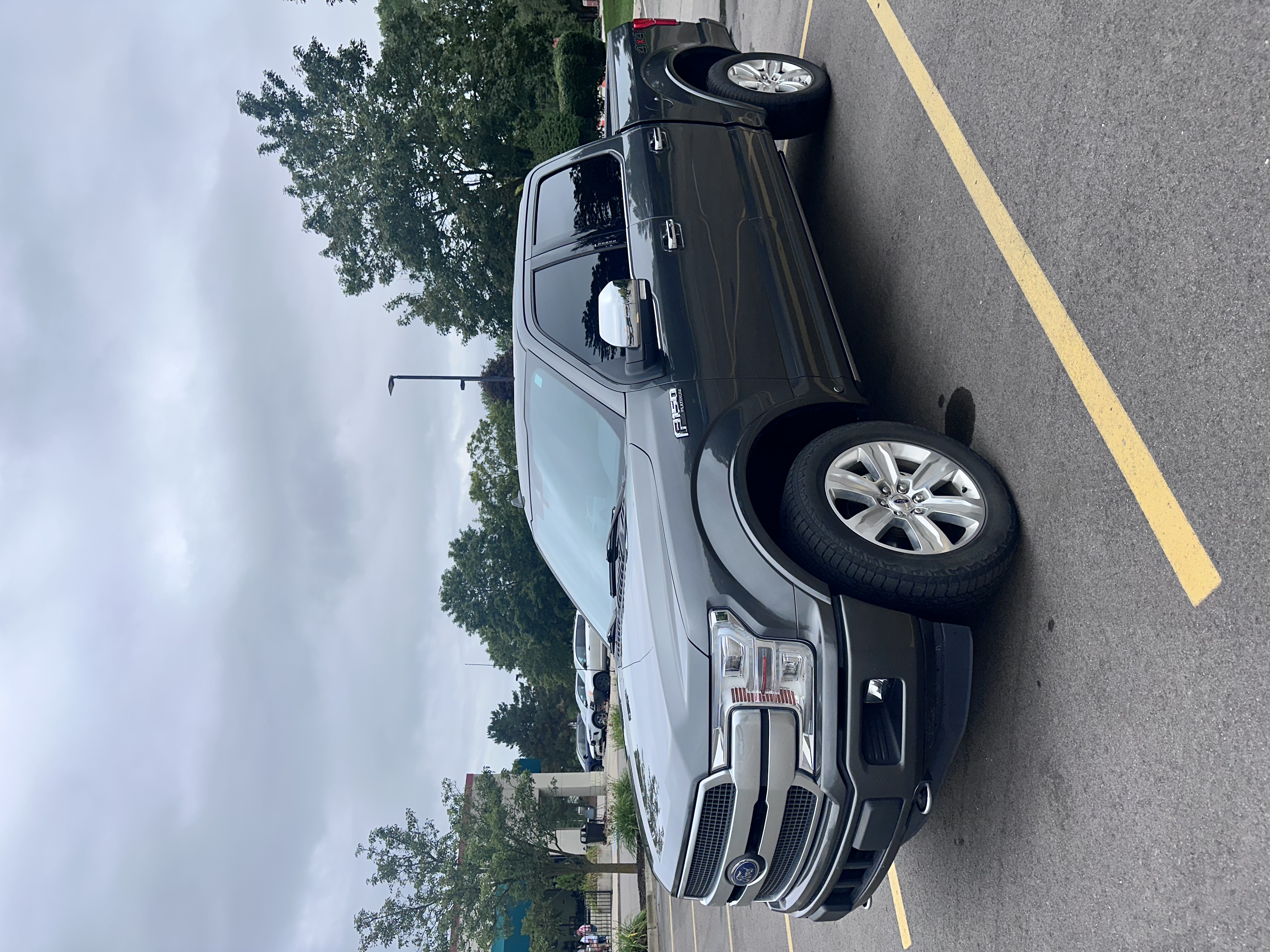 Used 2020 Ford F150 Platinum w/ Equipment Group 701A Luxury AWD/4WD image 1