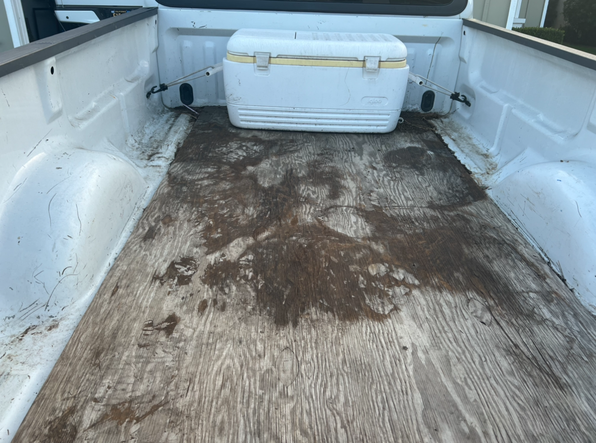 Used 2004 Ford F150 XL RWD image 11
