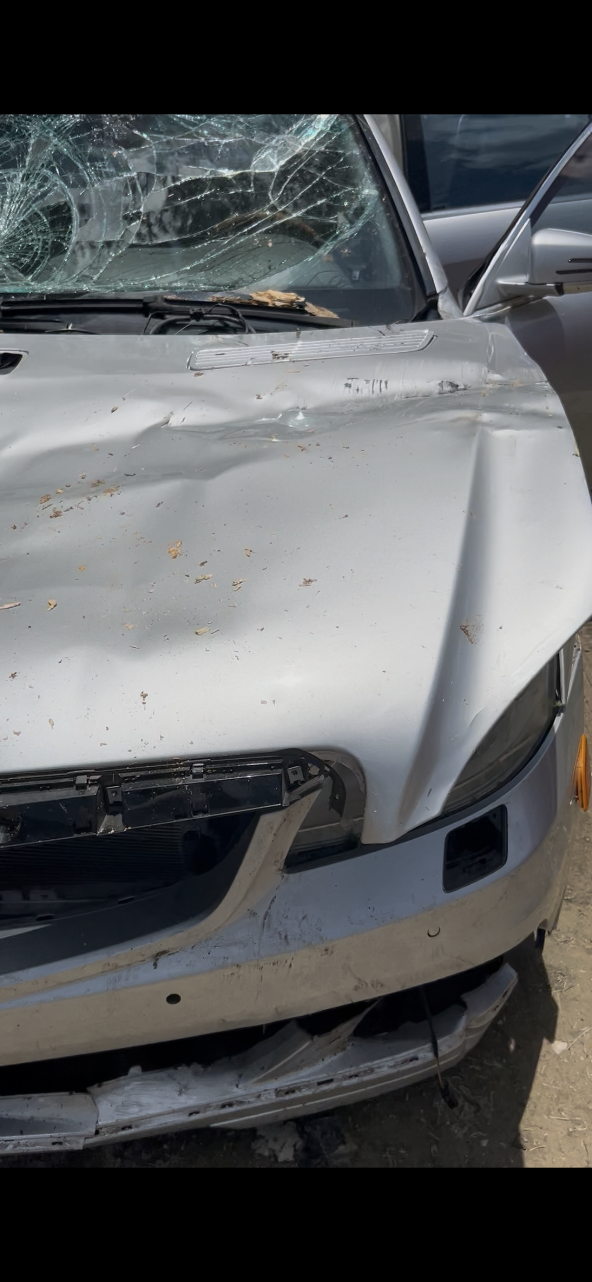 Used 2010 Mercedes-Benz S 550 image 6