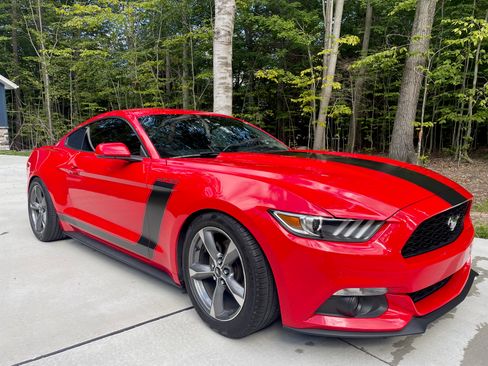 Used 2017 Ford Mustang Coupe image 5