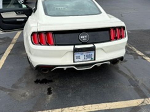 Used 2015 Ford Mustang 50 Years RWD image 4