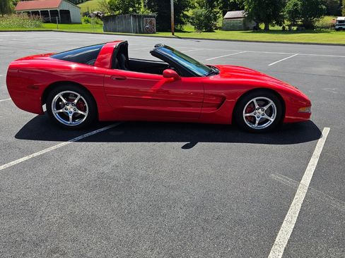 Used 1999 Chevrolet Corvette Coupe w/ Roof Pkg image 5