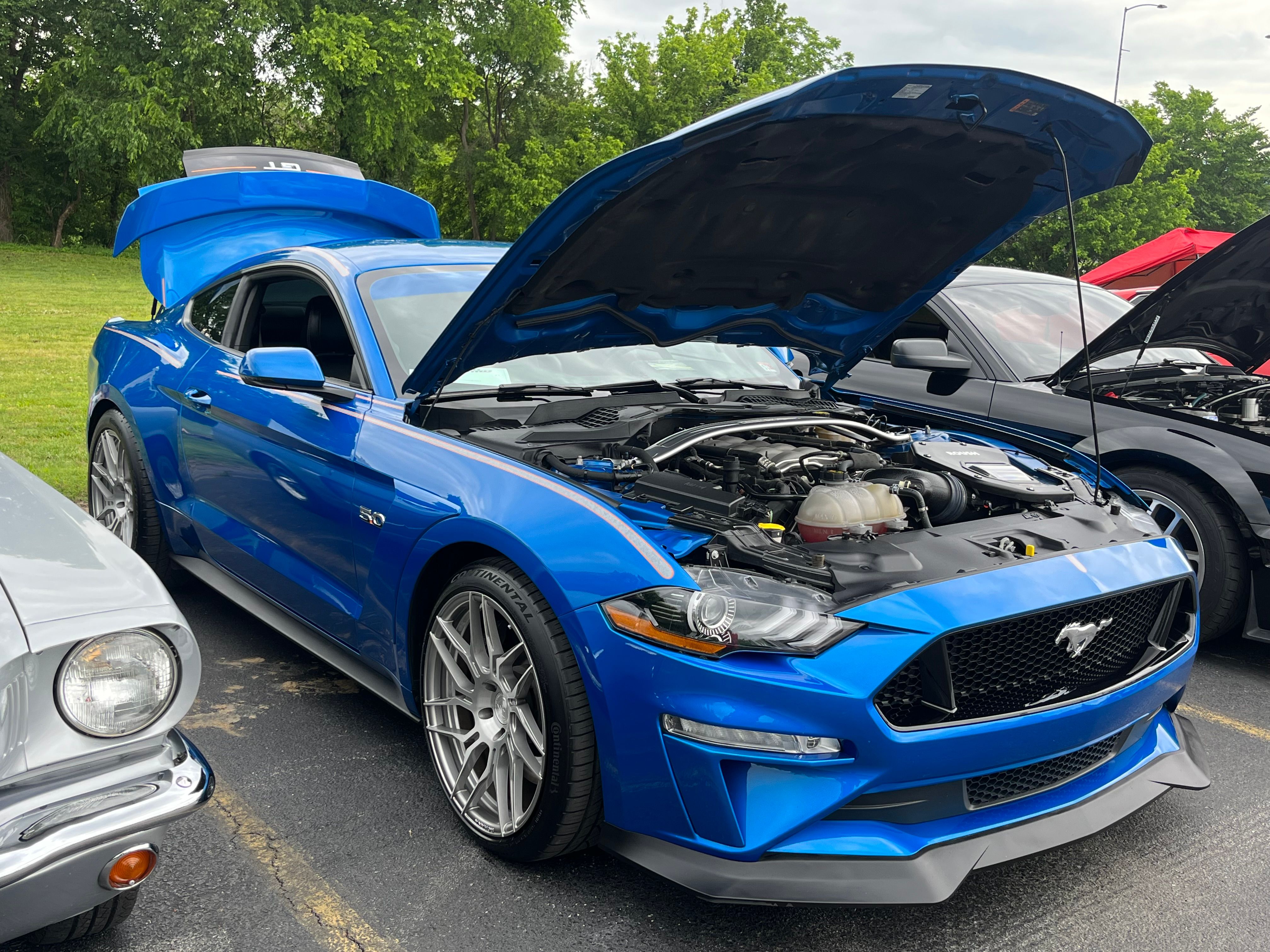 Used 2019 Ford Mustang GT Premium w/ GT Performance Package RWD image 1